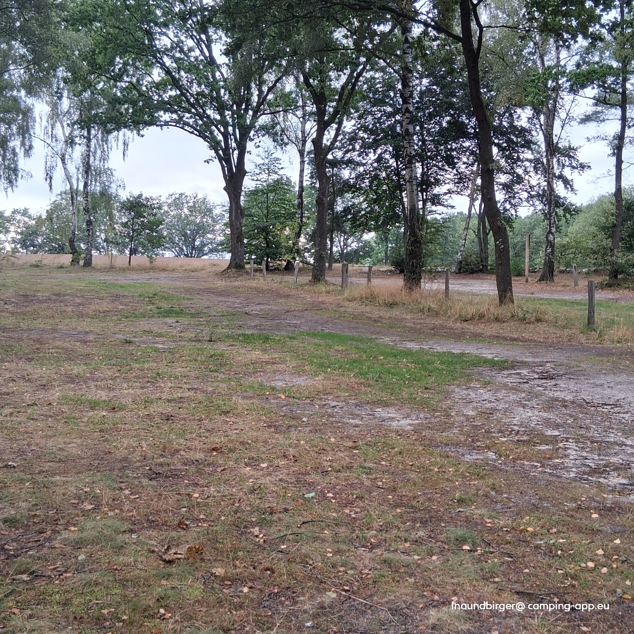 Stellplatz am Naturschutzpark Bispingen — Foto 6