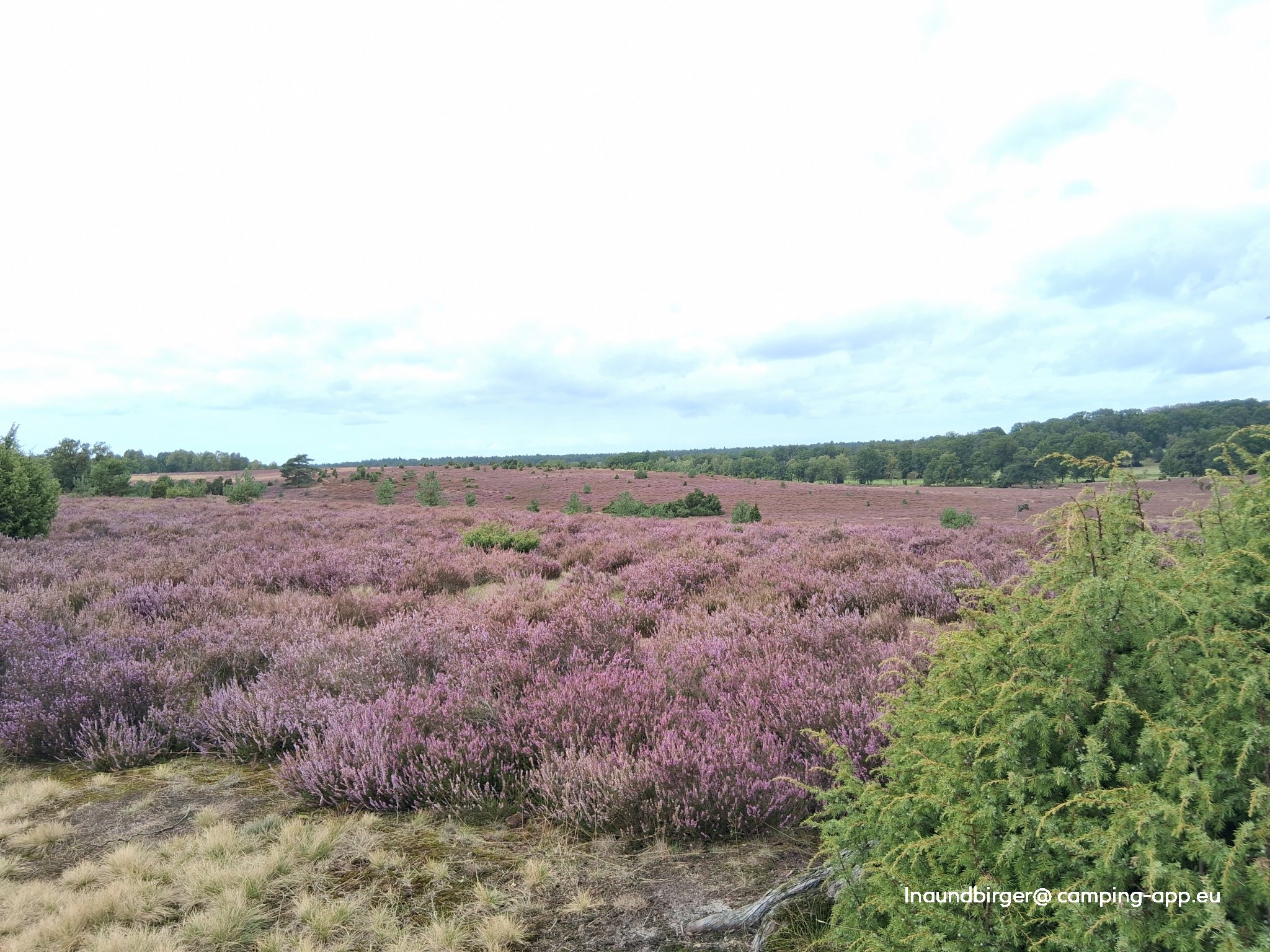 Stellplatz am Naturschutzpark Bispingen — Foto 3