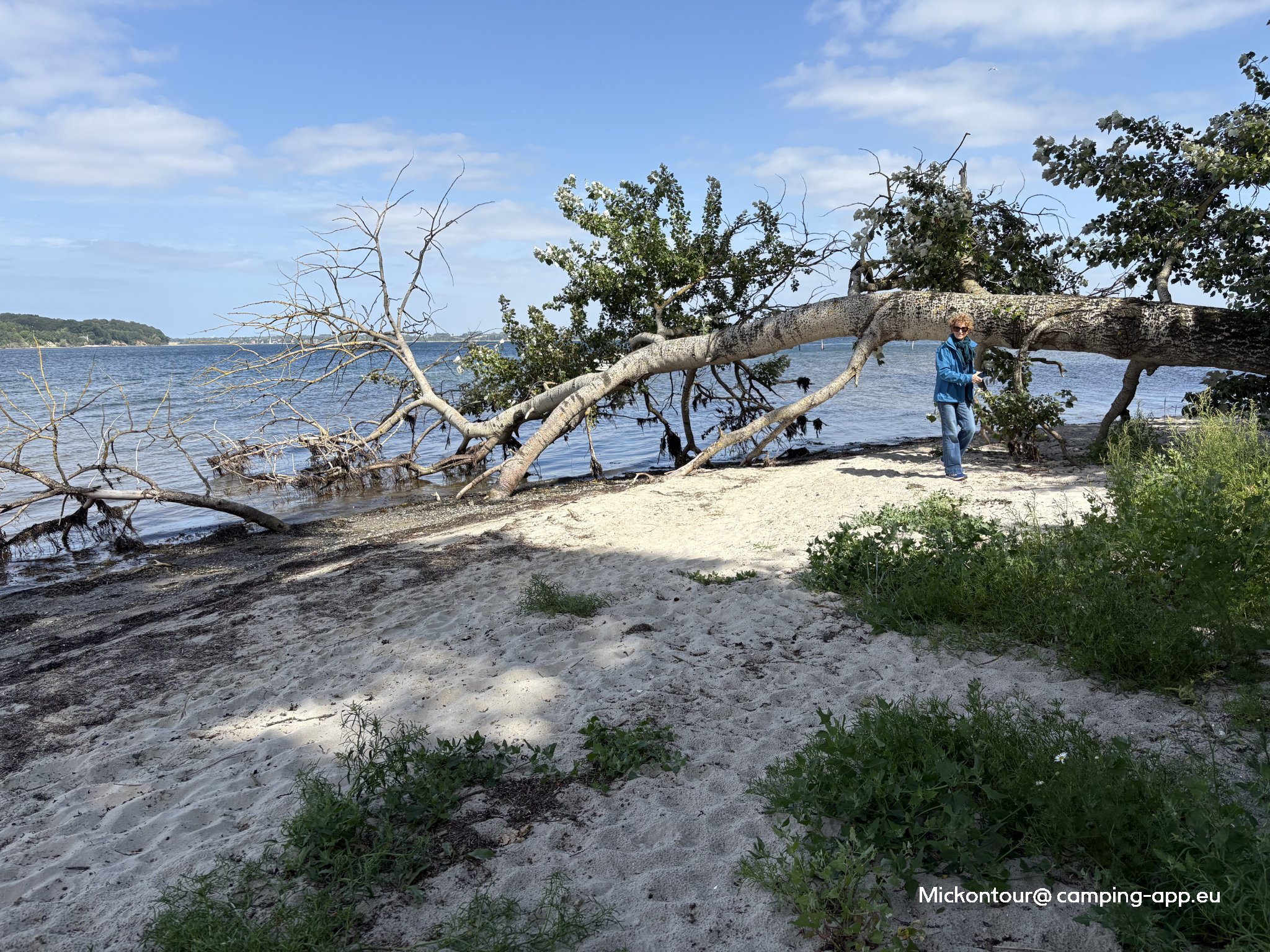 Gl. Ålbo Camping — Photo 4