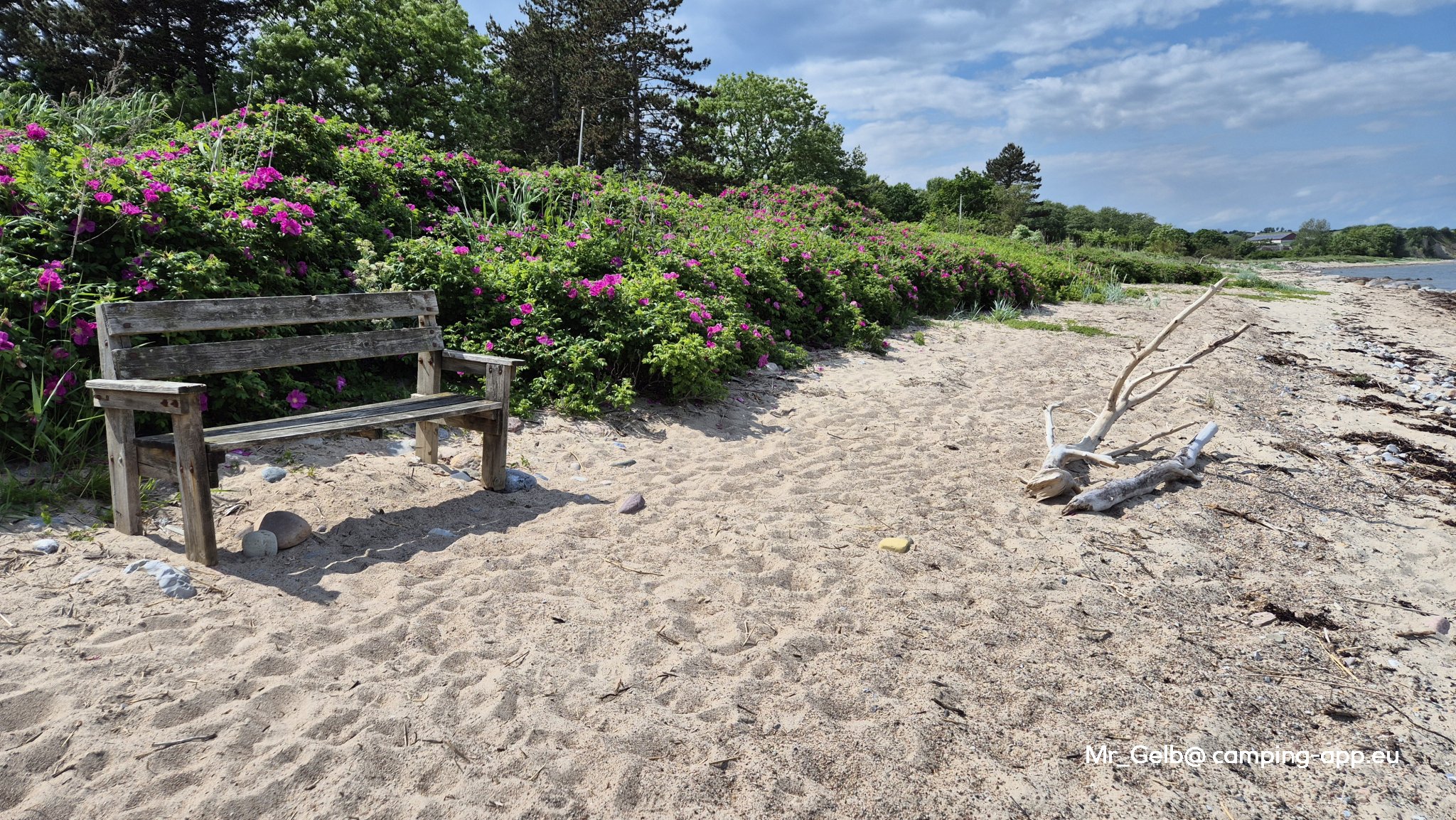 Broager Strand Camping — Foto 2
