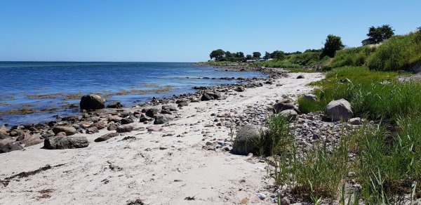 Lillebælt Camping — Area da campeggio in Fynshav