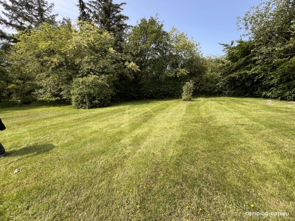 Tipperne Camping — Photo 3