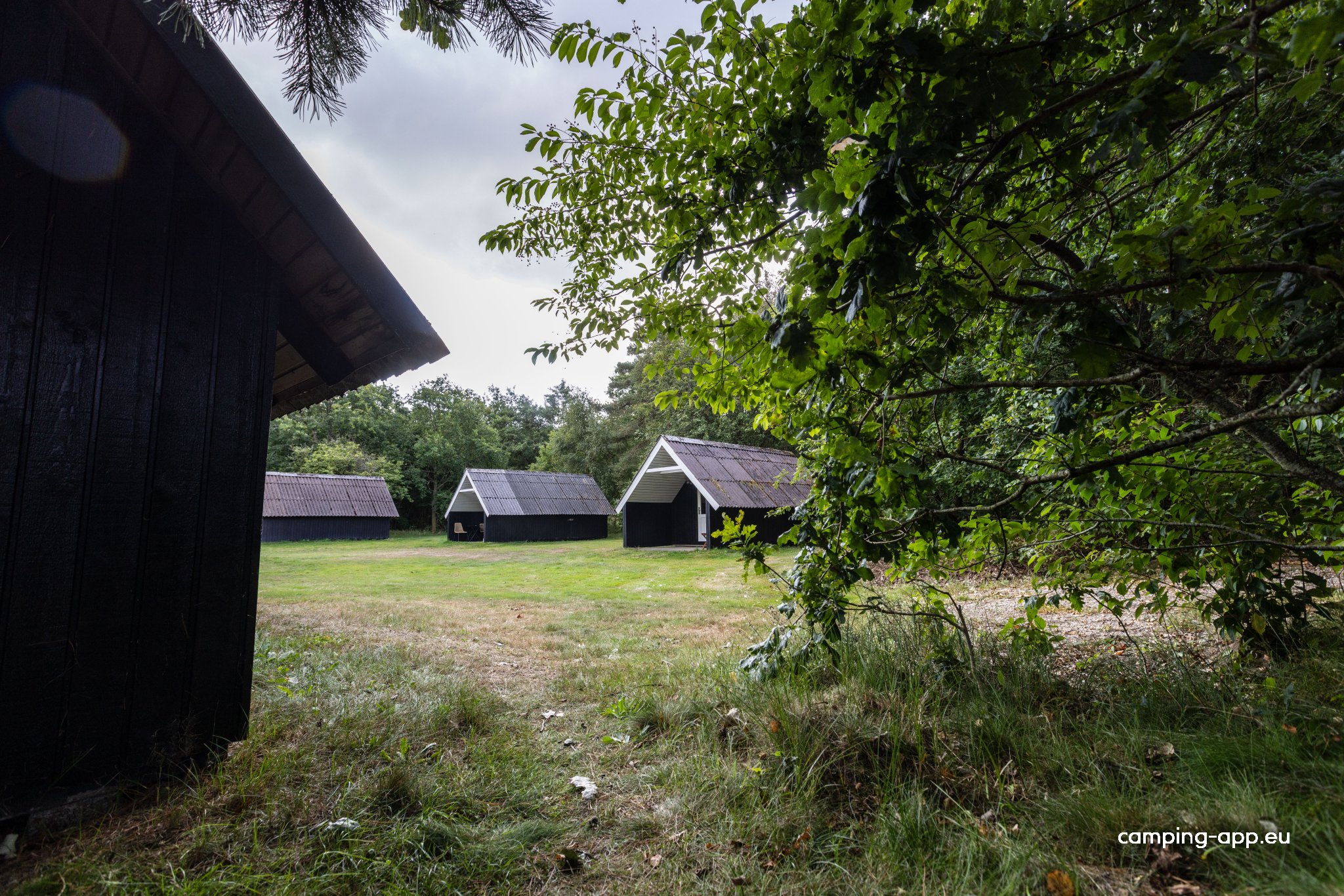 Tipperne Camping — Fotografie 5