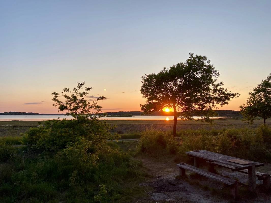 Bøllingsø Camping — Campingplatz in Engesvang