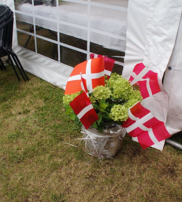 Virksund Camping — Photo 2