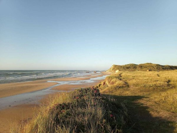 Skiveren Camping — Photo 4