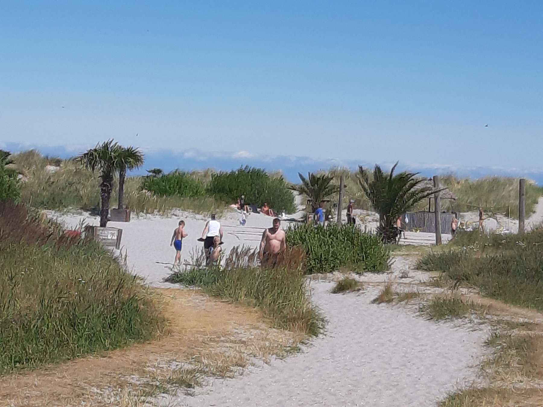 Nordstrand Camping — Area da campeggio in Frederikshavn