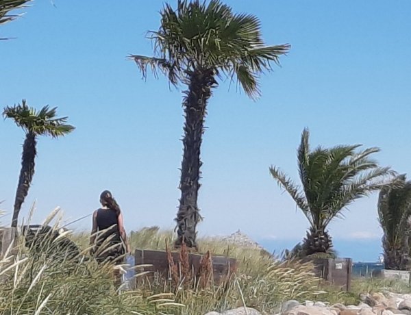 Nordstrand Camping — Photo 6