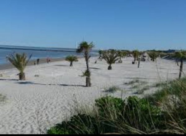 Nordstrand Camping — Foto 6