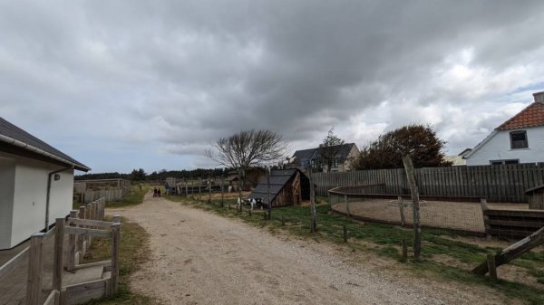 Gl. Klitgaard Camping — Foto 4