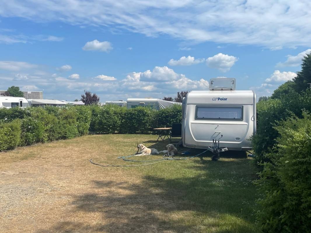 Løkken Klit Camping — Camping in Løkken