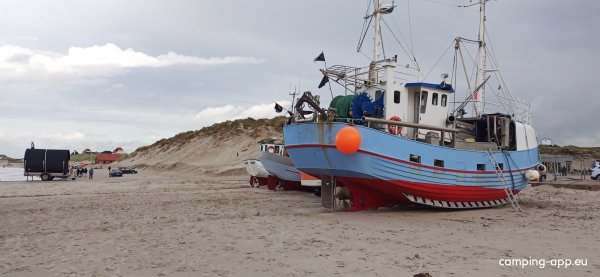 Løkken Klit Camping — Photo 6