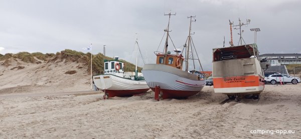 Løkken Klit Camping — Photo 4