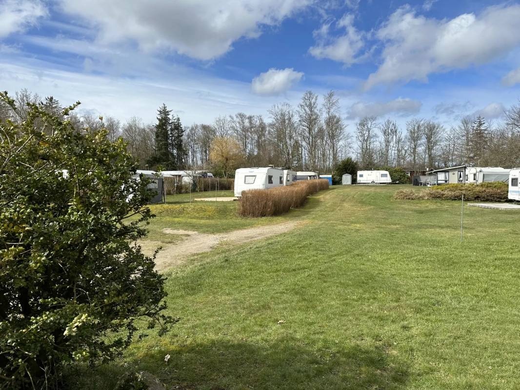 Fårup Camping — Campingplads in Saltum