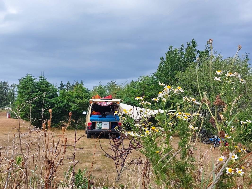 Blokhus Natur Camping — Campingplatz in Pandrup