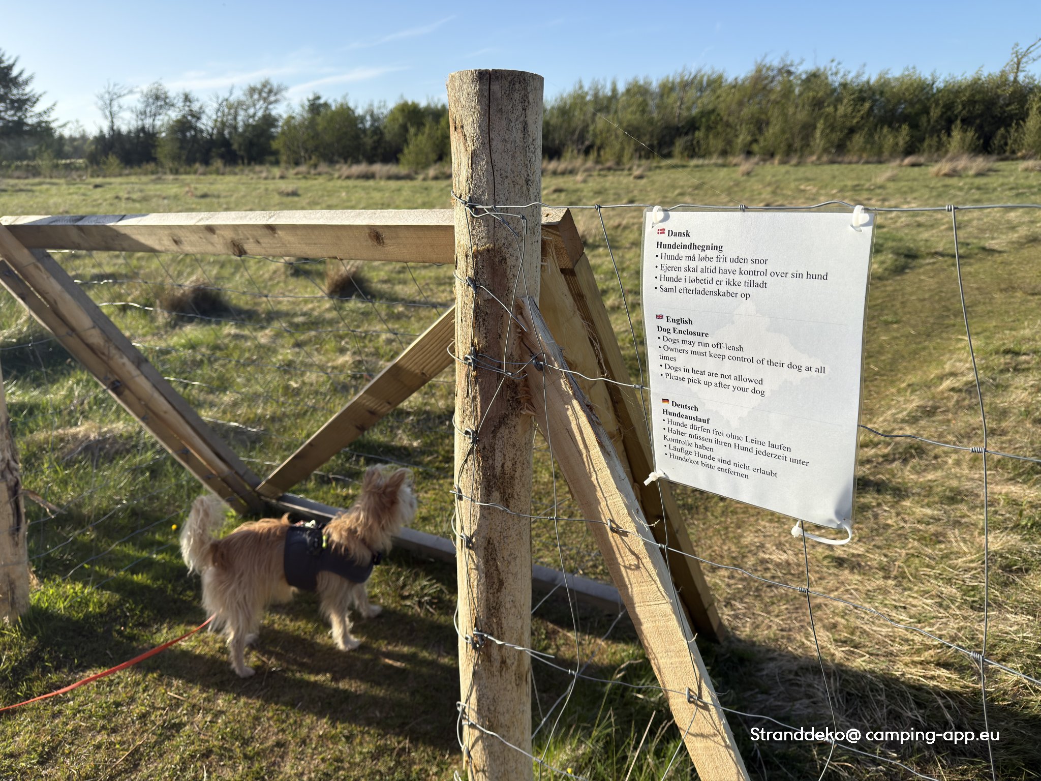 Blokhus Natur Camping — Photo 6