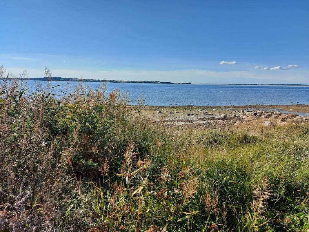 Nibe Camping  - Sølyst — Kemp in Nibe