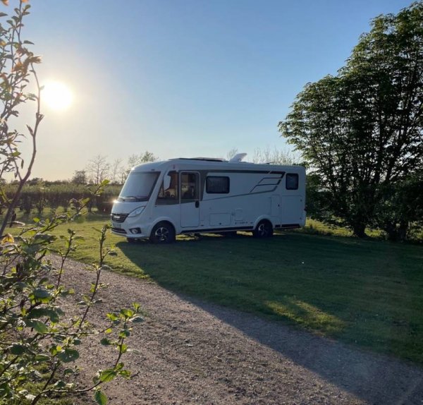 Troldebakken Camping — Photo 2