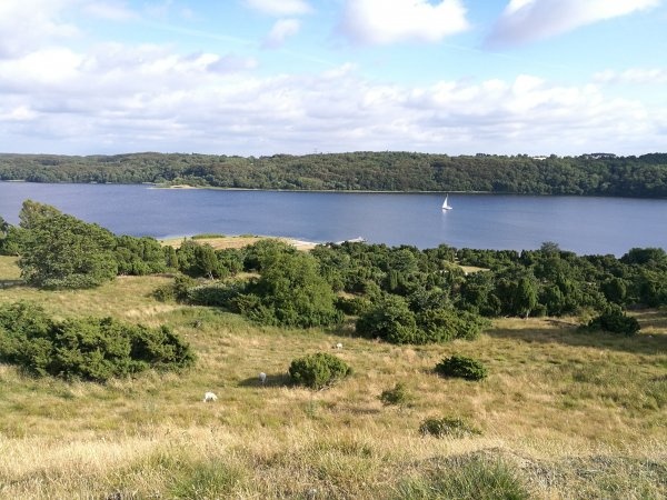 Bramslev Bakker Camping — Kemping in Hobro