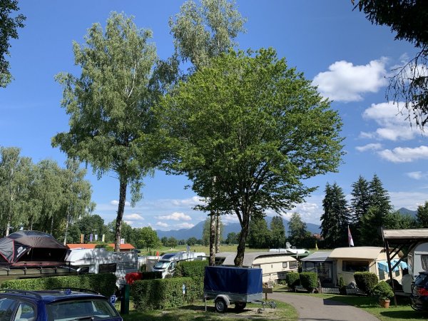 Camping + Ferienhaus Hofbauer — Photo 4