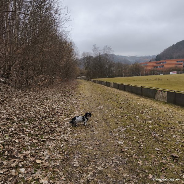 Stellplatz an der Schule — Foto 2