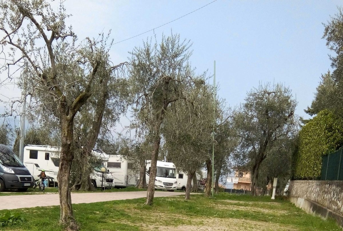 Camping Punto verde — Camping in Assenza du Brenzone