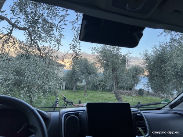 Camping Punto verde — Foto 2