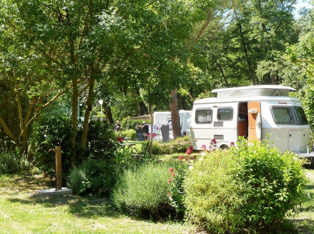 Camping la Coutelière — Campingplats in Lagnes / Fontaine-de-Vaucluse