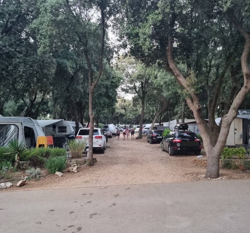 Camping Straško — Campingplads in Novalja