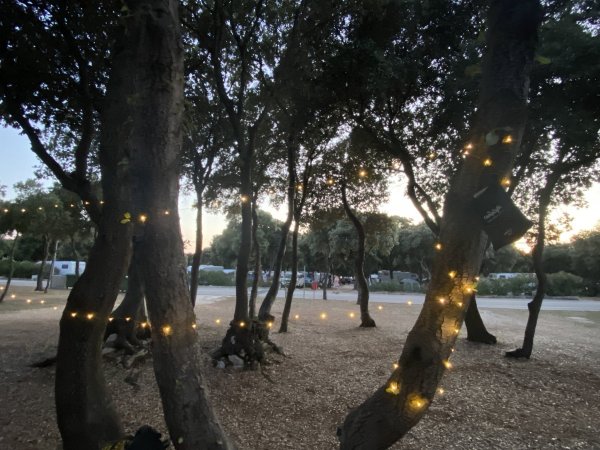 Camping Straško — Photo 4