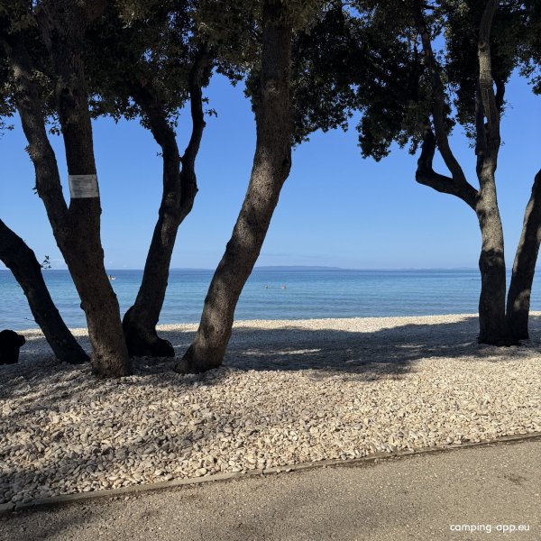 Camping Straško — Foto 6