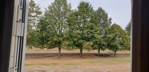 Elsterstausee Leipzig — Campervan Site in Leipzig