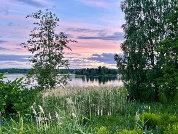 Boforsudden — Photo 5