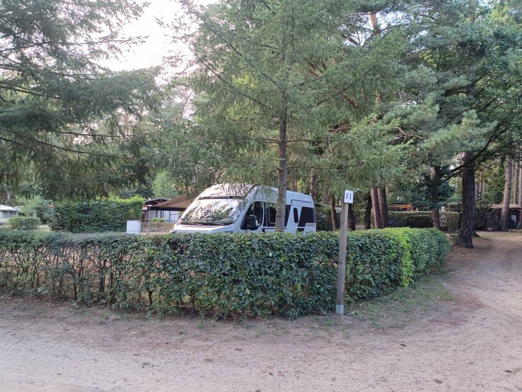 Ferienpark Üdersee Camp — Camping in Schorfheide