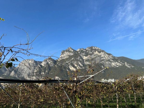 Camping Brione — Photo 5