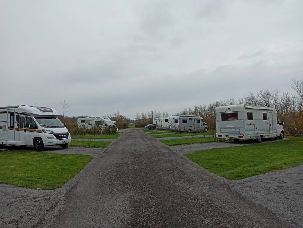 Camping Brouwersdam — Quinta in Ouddorp