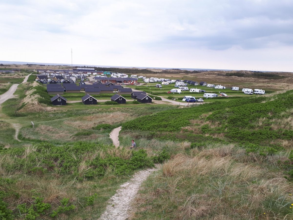 Dancamps Nordsø — Camping in Hvide Sande