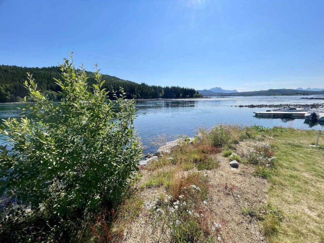 Hamarøy Fiskecamping — Area da campeggio in Hamarøy
