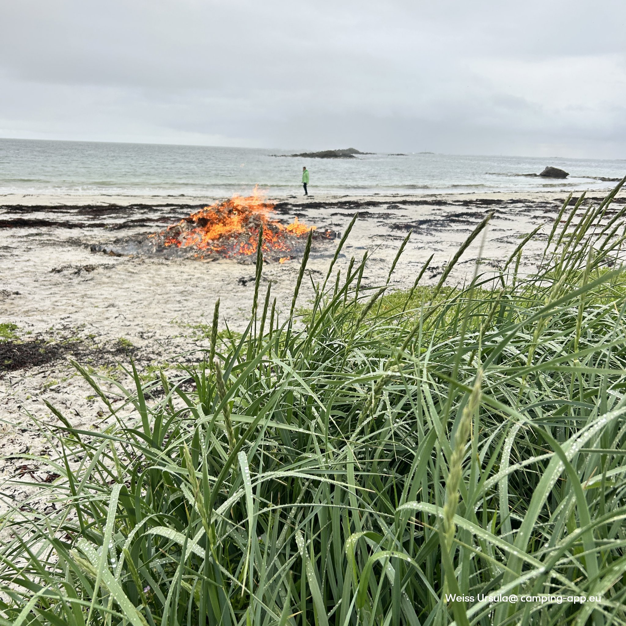Stave Camping & Hot Pools — Foto 2
