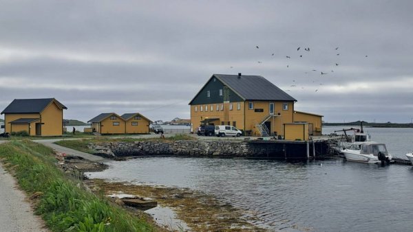 Røst Havfiske Camp — Foto 3
