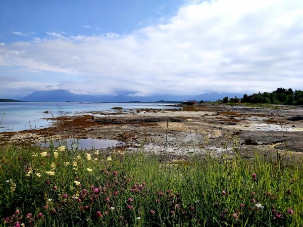 Ness Camping — Campingplads in Skutvik