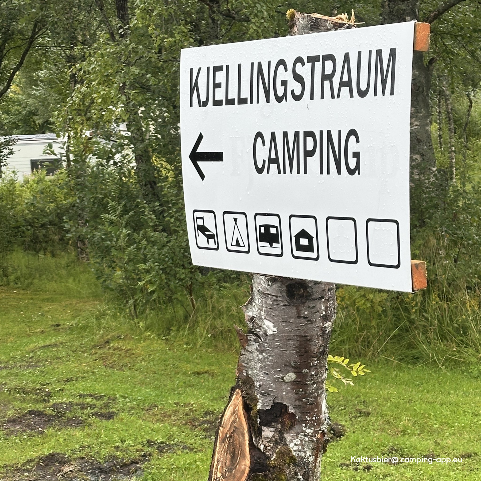 Kjellingstraumen Camping — Foto 2