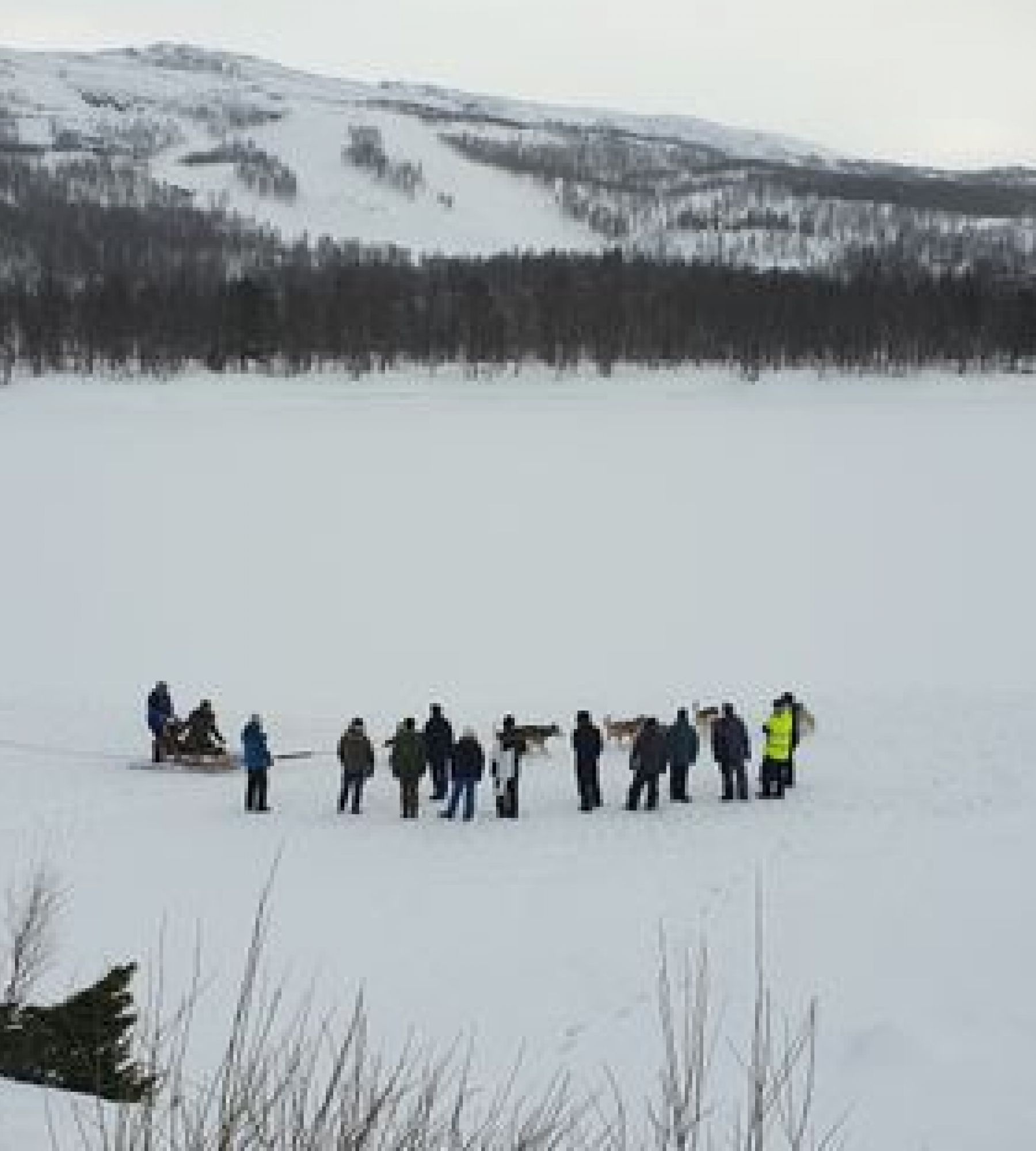 Sulitjelma Turistsenter — Campingplads in Sulitjelma