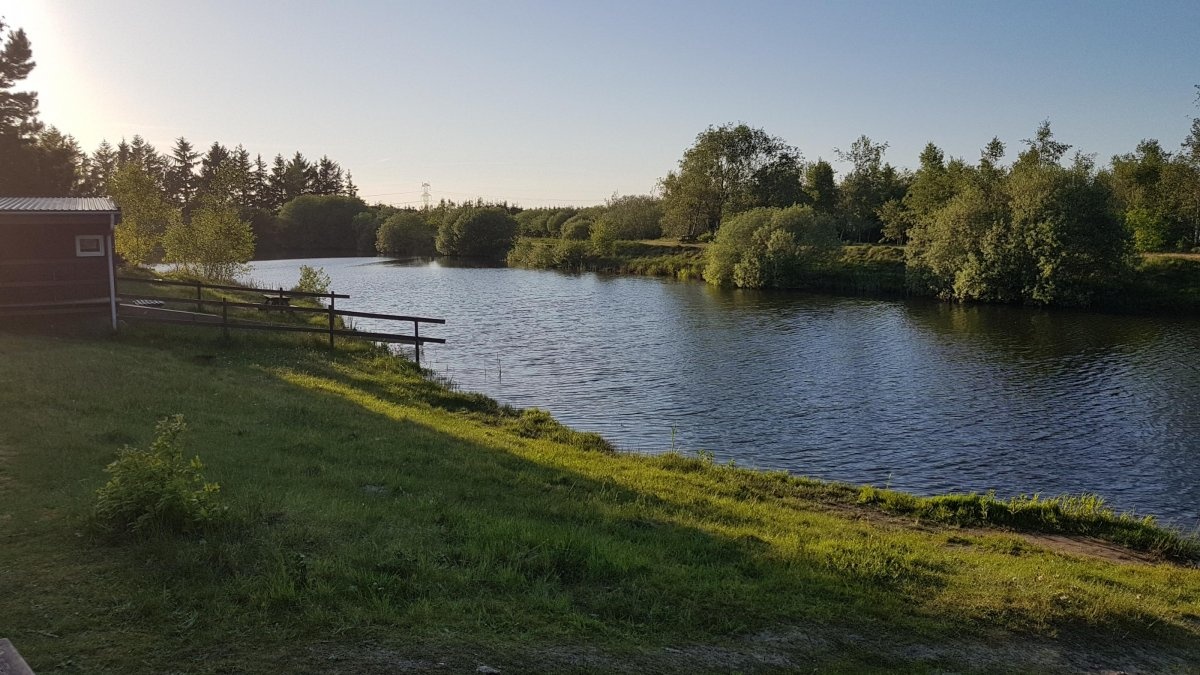 Terkelsbøl Lystfiskeri — Campingplads in Tinglev