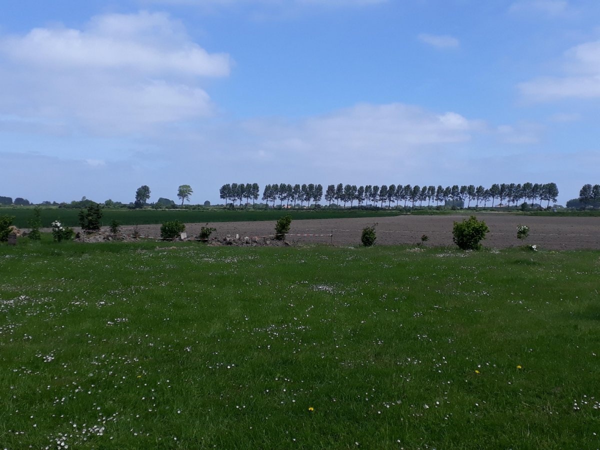 Mini Camping Boerenhof — Campingplatz in Groede