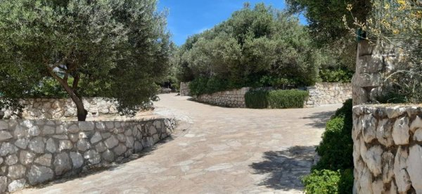 Camp Kanic — Photo 2