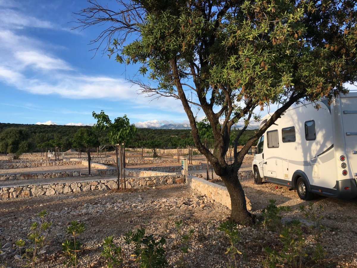 Terra Park Phalaris Pitches — Campingplatz in Novalja