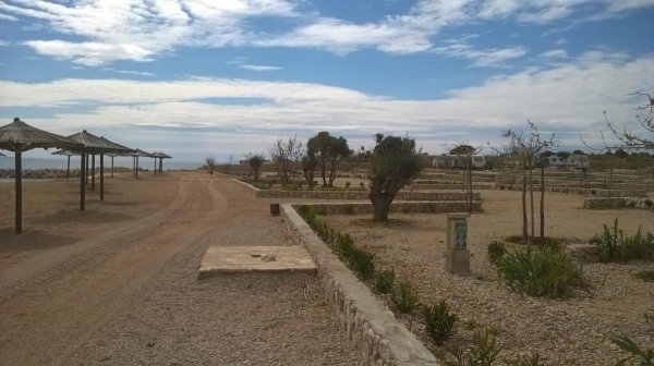 Terra Park Phalaris Pitches — Foto 4
