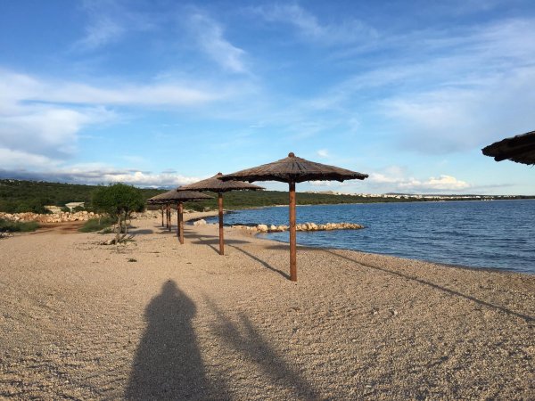 Terra Park Phalaris Pitches — Photo 2