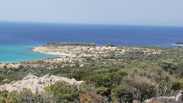 Terra Park Phalaris Pitches — Photo 4